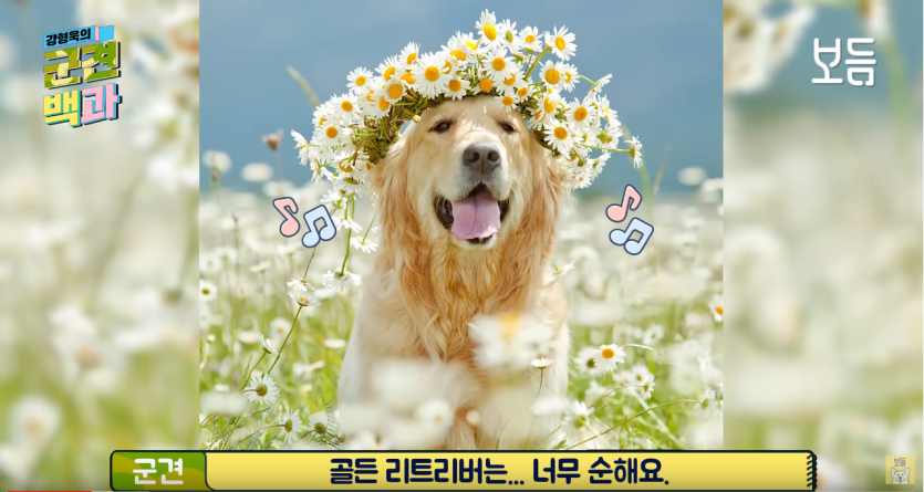 978aaf11aa70da6f5ea9bfe4c94bff7a_1760460128_0914.png